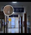 家用308光疗仪哪个品牌好一点
